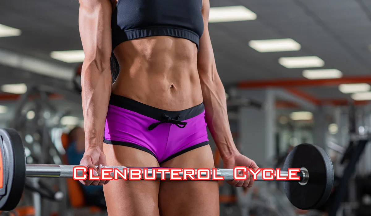 Clenbuterol Cycle