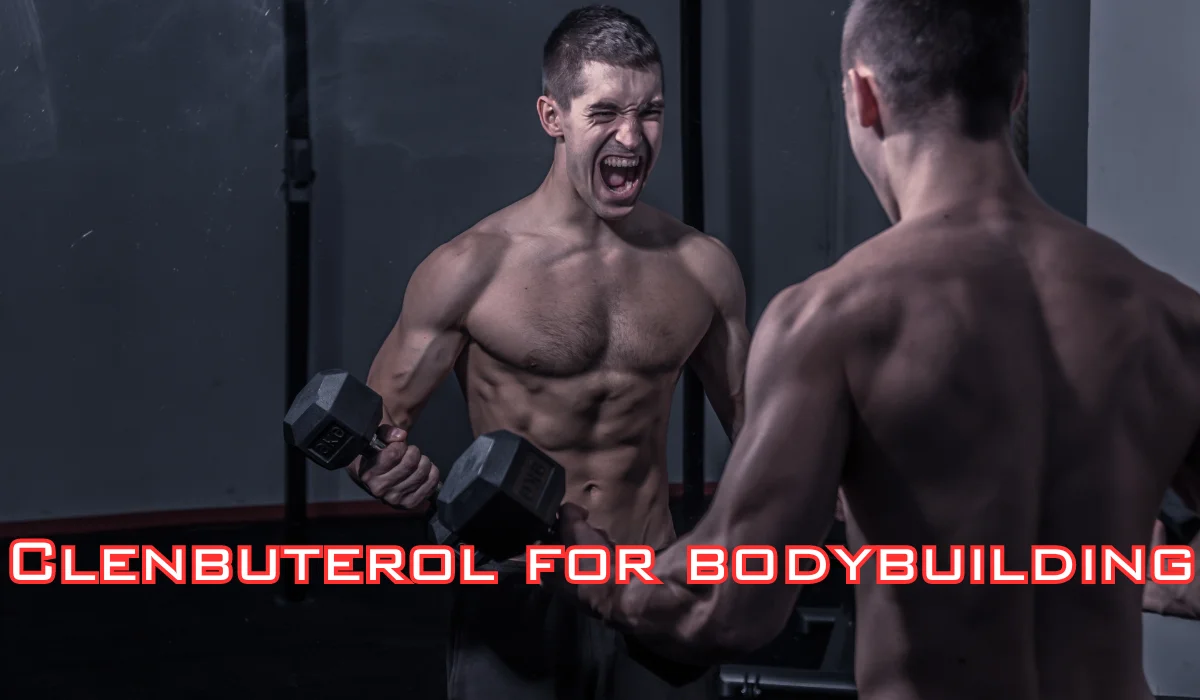 Clenbuterol for bodybuilding